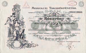 Miskolci Takarkpnztr Rszvnytrsasg rszvny 5x20 100 peng 1927